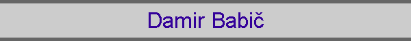 Damir Babič