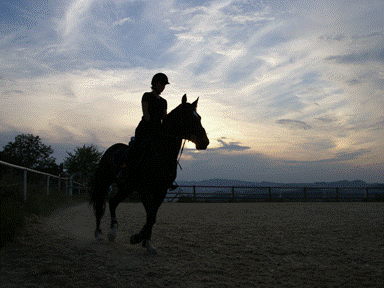 veerni galop