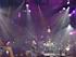 DSC07407.jpg