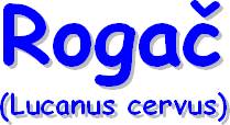 Naslov-rogac.gif (4550 bytes)